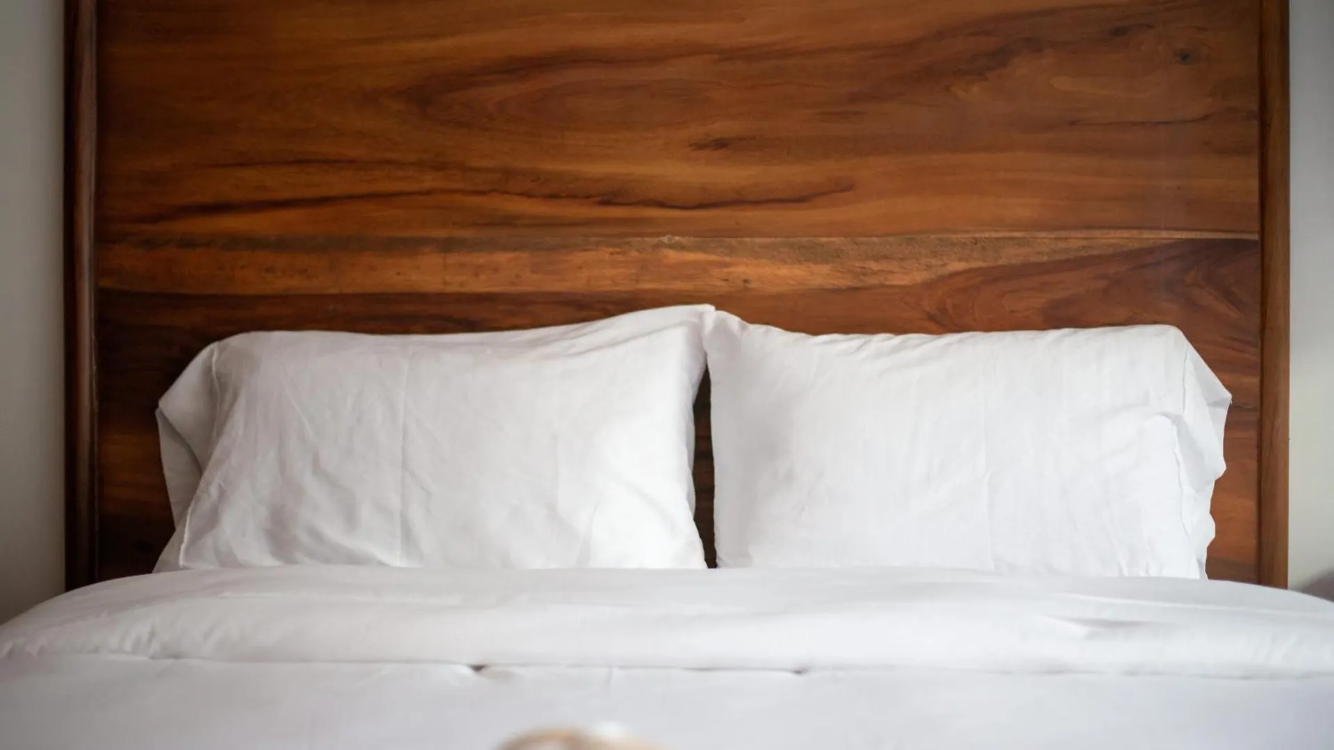 別荘 トゥルム La Veleta Getaway At Asana Leaf House Sleeps 12ヴィラ